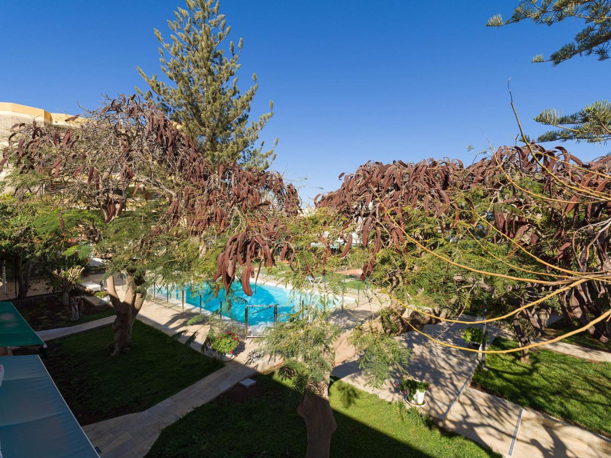 Timon Apartment San Agustin (Gran Canaria)