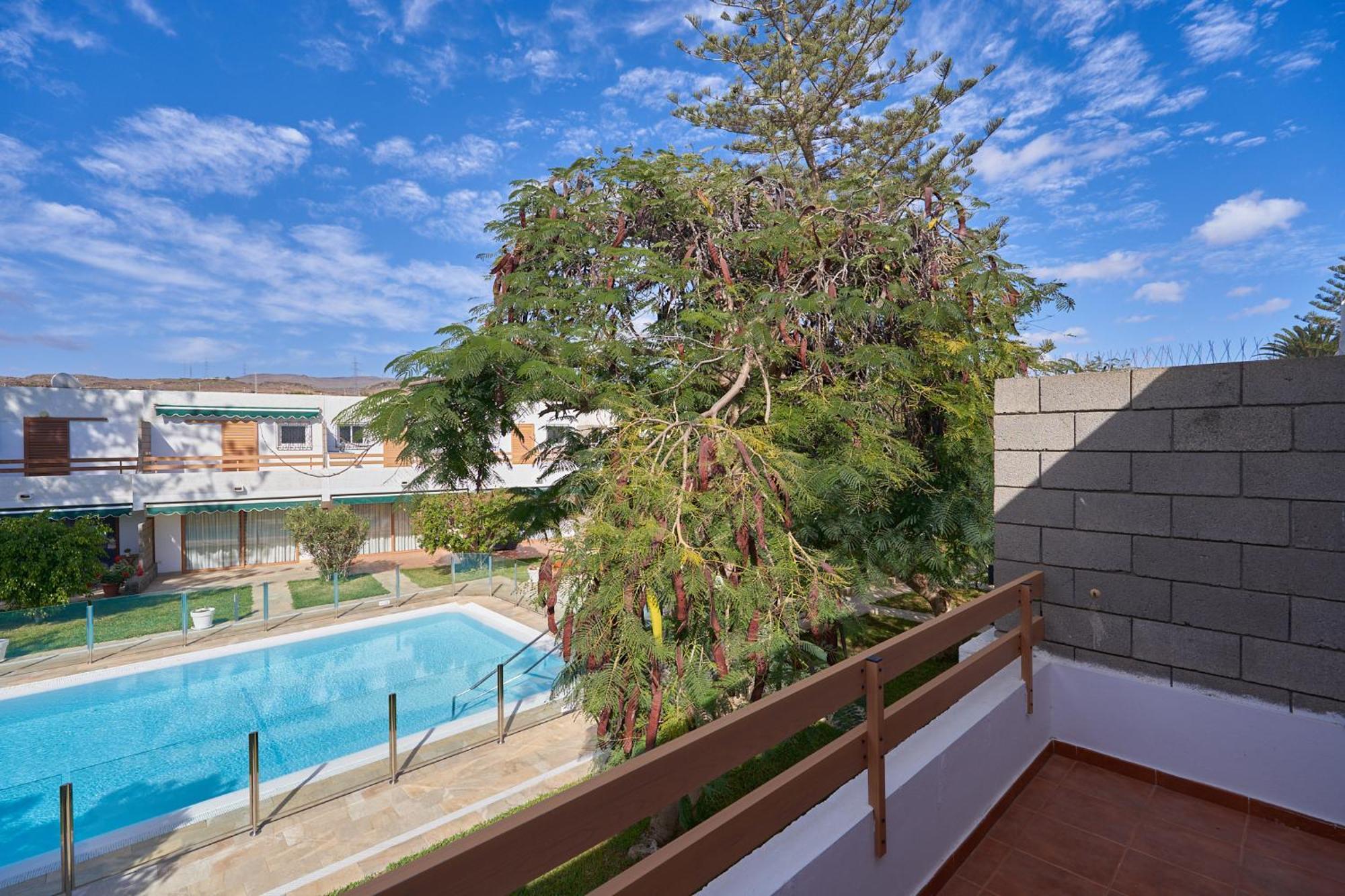 Timon San Agustin (Gran Canaria)